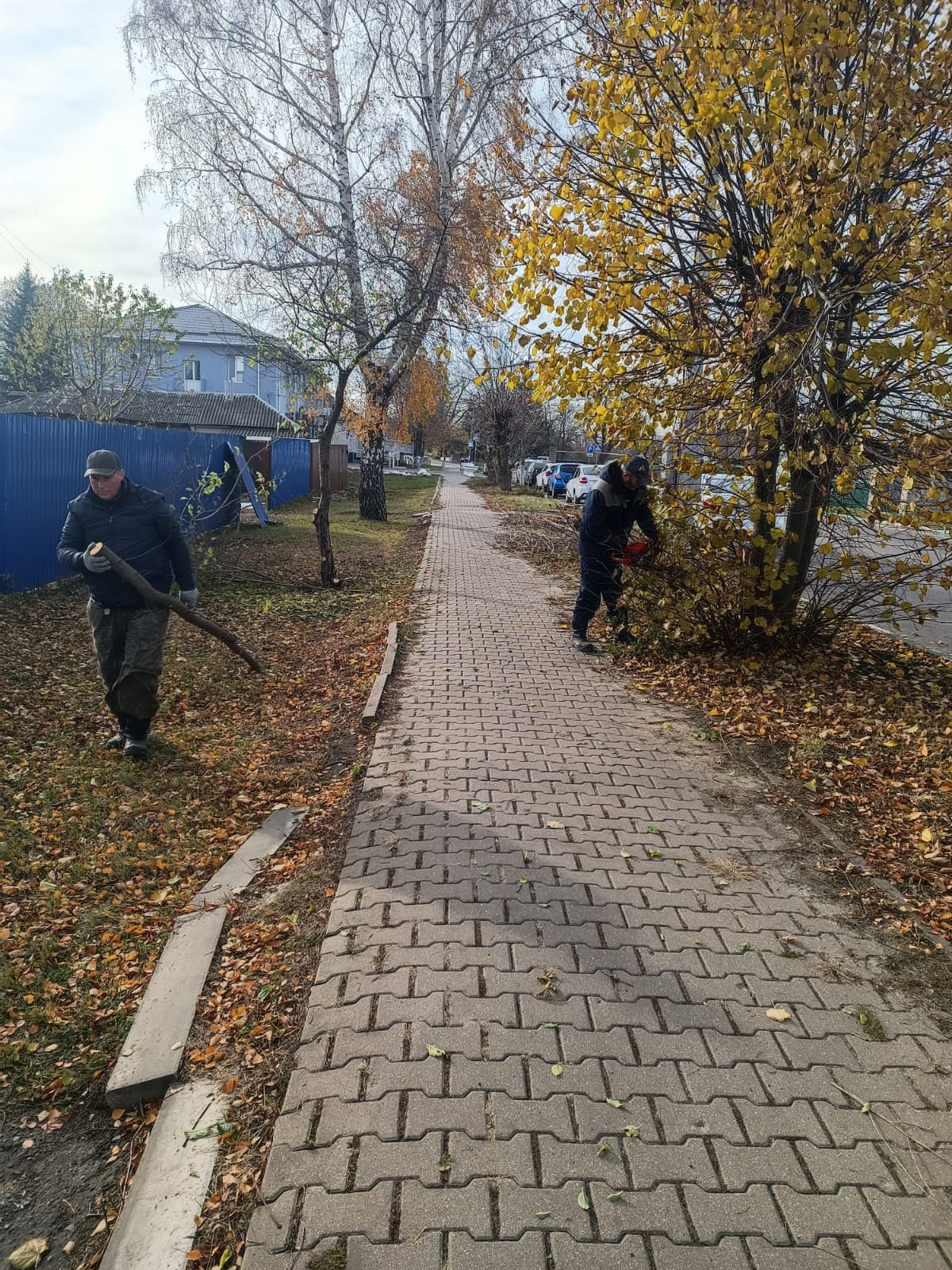 Благоустройство поселения.